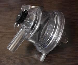مخلب الأغنام